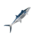 FishMarlin.png