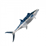 FishMarlin.png