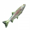 Trout.png